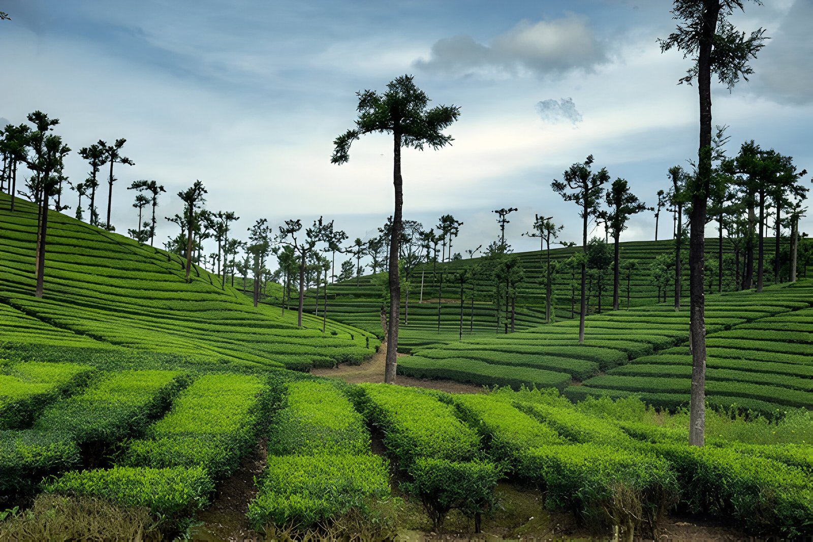 Tamil Nadu